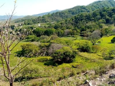 Stunning 64 acre (26 ha) finca 5 km from the Pacific Ocean