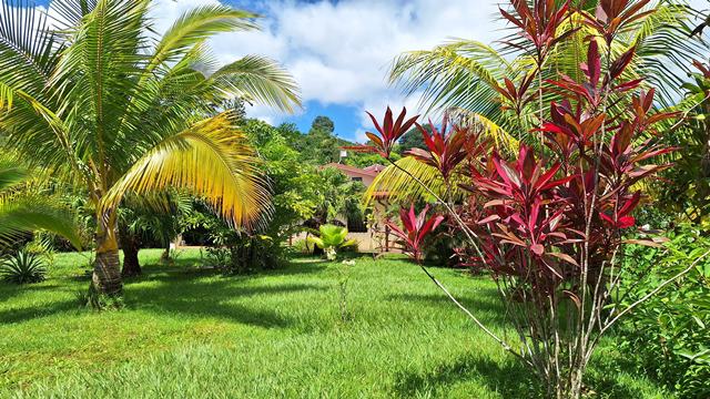 Guanacaste garden lot