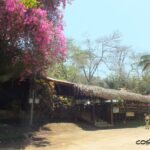 Restaurant near the beach