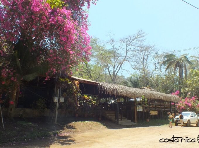 Restaurant near the beach