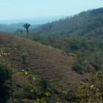 Finca with Ocean view