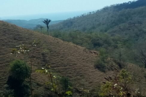 Finca with Ocean view