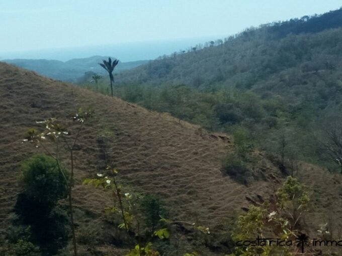 Finca with Ocean view