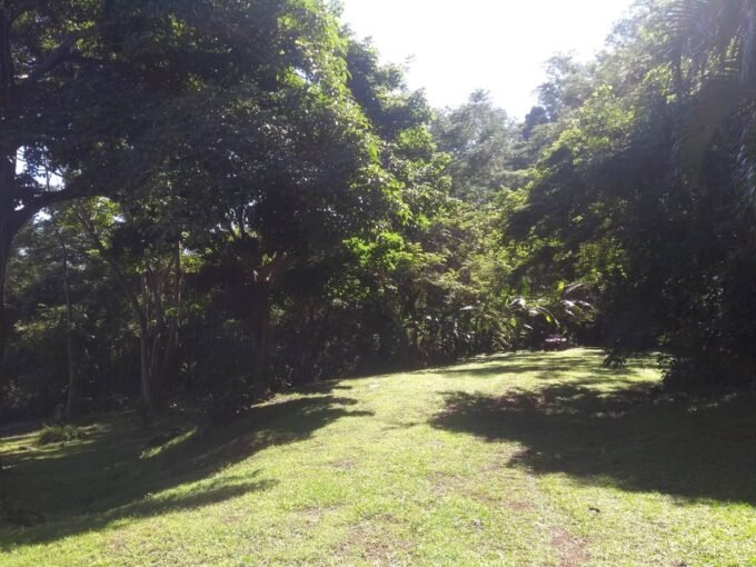 Building lot near Puerto Coyote