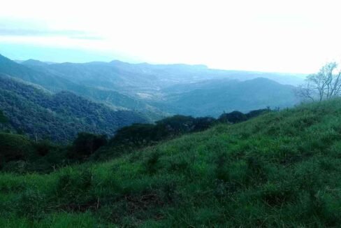 Finca with ocean view