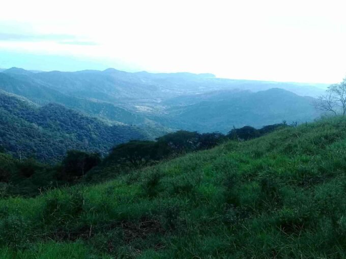 Finca with ocean view