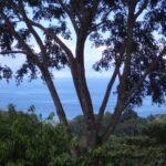Ocean view finca Pavones