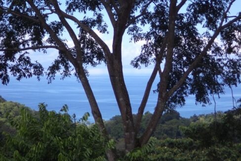 Ocean view finca Pavones