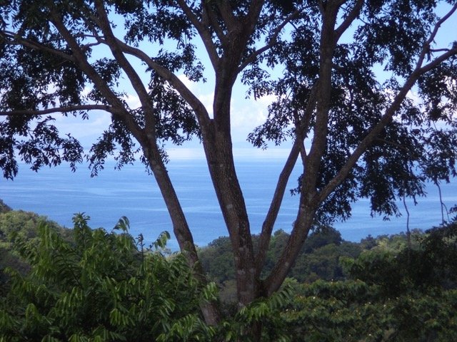 Ocean view finca Pavones