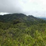 Finca in Nandayure