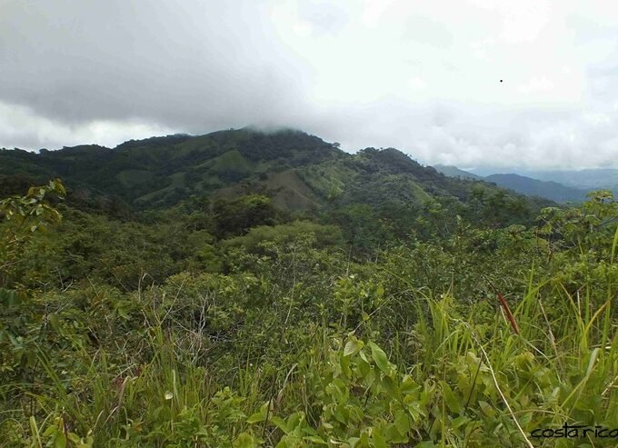 Finca in Nandayure
