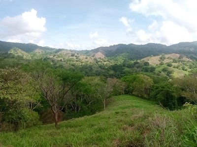 7,5 ha Mountain paradise