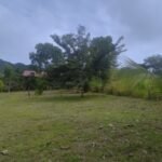 Bargain lot near the Pacific Ocean