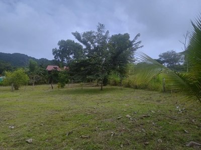 Bargain lot near the Pacific Ocean