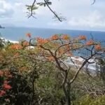 Beach property Playa Bejuco