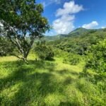 Beautiful mountain finca Nicoya