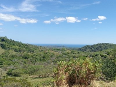Precious dream near Samara and Nosara