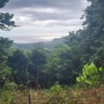 38 ha excellent ocean view at Corozalito