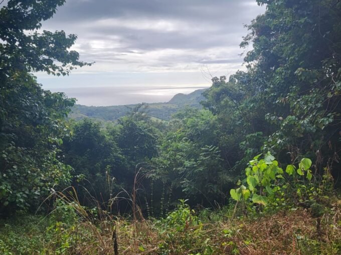 38 ha excellent ocean view at Corozalito