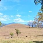 Finca in Juan de Leon, Nicoya Peninsula