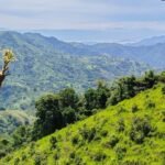 Nicoya Eco-Finca: 15-Acre Blue Zone Homestead with Natural Spring