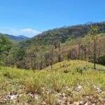 148-Acre Vast Eco-Reserve with Natural Springs and Ocean Views