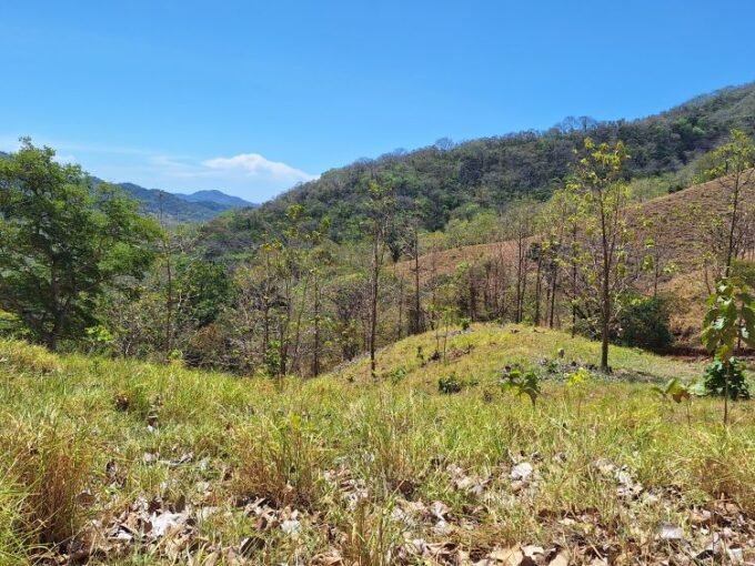 148-Acre Vast Eco-Reserve with Natural Springs and Ocean Views