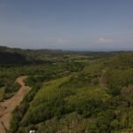 518 acres (209ha) forest area on the Pacific Ocean