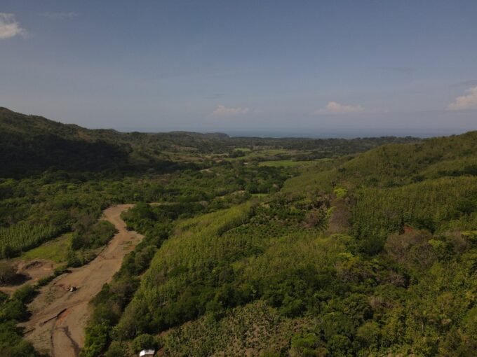 518 acres (209ha) forest area on the Pacific Ocean