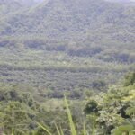 Agricultural development potential on the Nicoya Peninsula