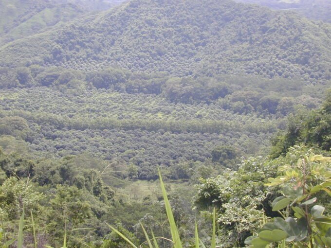 Agricultural development potential on the Nicoya Peninsula