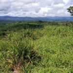Beautiful land for sale near Corcovado