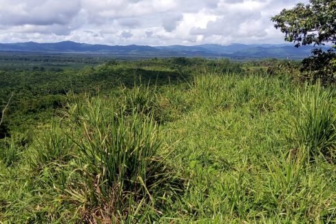 Beautiful land for sale near Corcovado