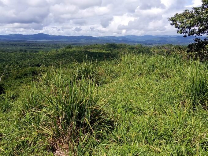 Beautiful land for sale near Corcovado