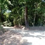 Big Finca near Playa Bejuco