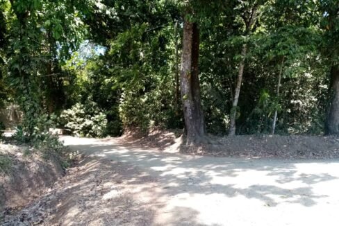Big Finca near Playa Bejuco