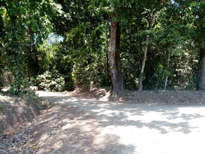 Big Finca near Playa Bejuco