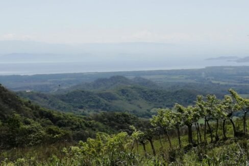 eco finca with view over the Gulf of Nicoya