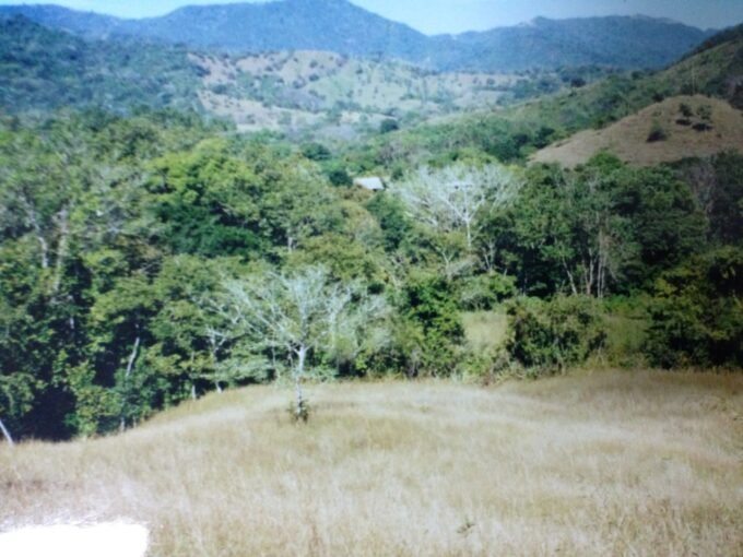 Finca with teak plantation