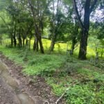 Property near Cobano and Montezuma