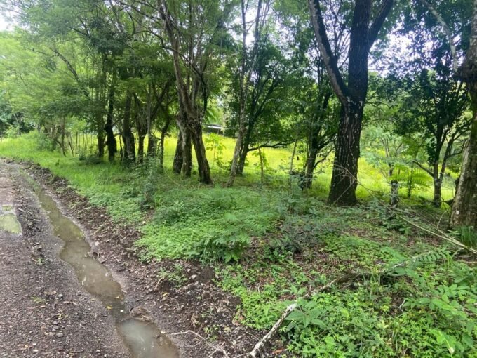 Property near Cobano and Montezuma