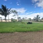 Turnkey cattle ranch for sale Bagaces Costa Rica