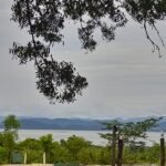 Finca with view on Gulf of Nicoya