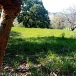 Paradise property near Jicaral
