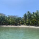 Beach property