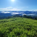 Blue Zone finca