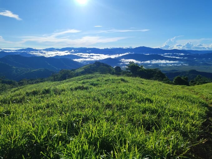 Blue Zone finca